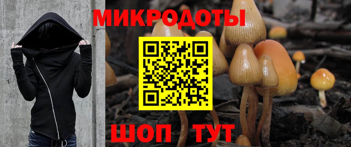 Тверь  Псилоцибиновые грибы мухоморы  Вход с VPN  Псилоцибиновые грибы Psilocybine cubensis 